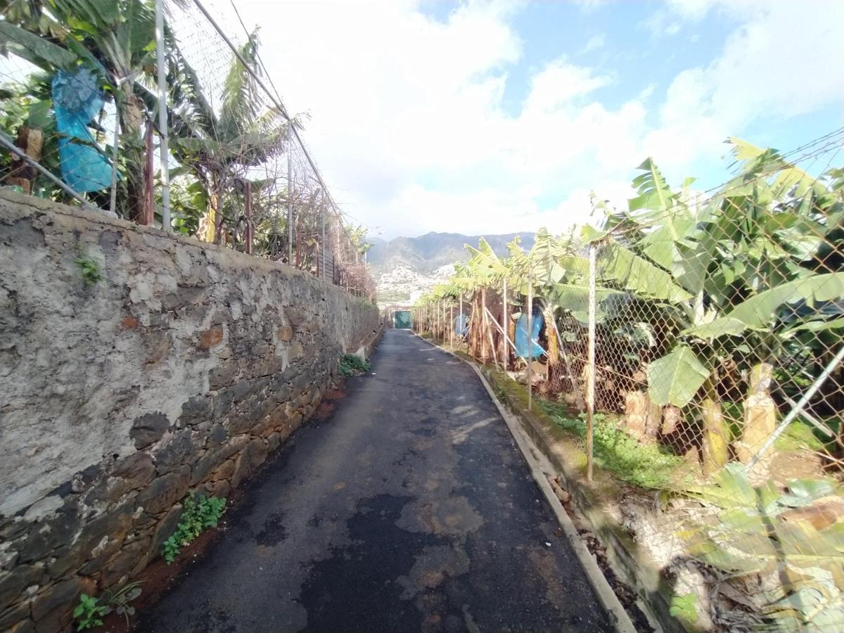 Casa Alencastre Villa Funchal Dış mekan fotoğraf